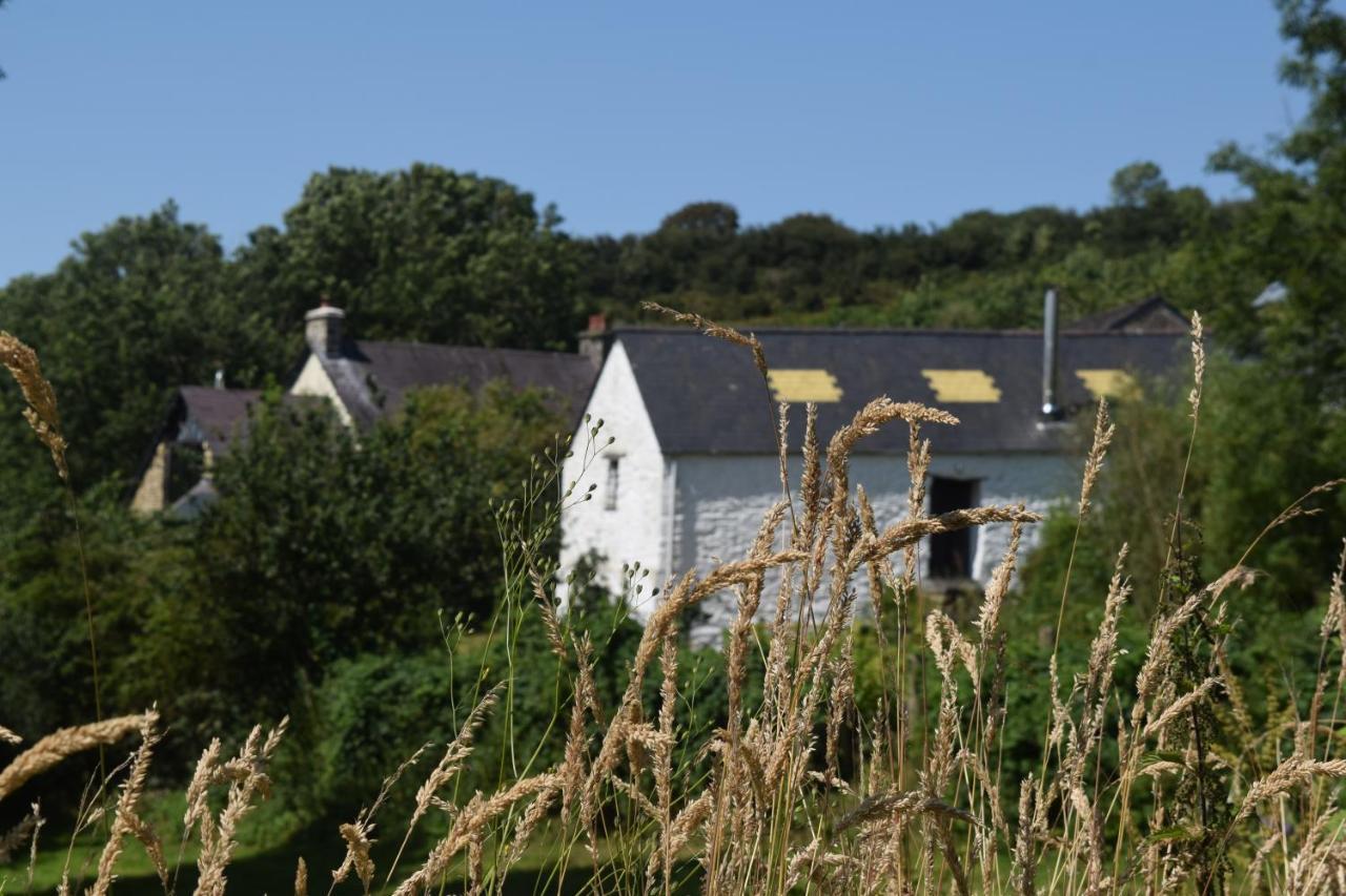 فيلا Nantgwynfaen Organic Farm Wales Llandysul المظهر الخارجي الصورة