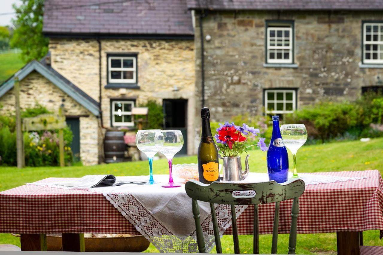فيلا Nantgwynfaen Organic Farm Wales Llandysul المظهر الخارجي الصورة