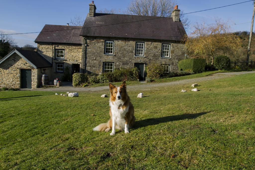 فيلا Nantgwynfaen Organic Farm Wales Llandysul المظهر الخارجي الصورة